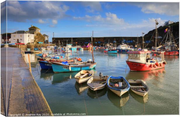Mevagissey Canvas Print by Andrew Ray