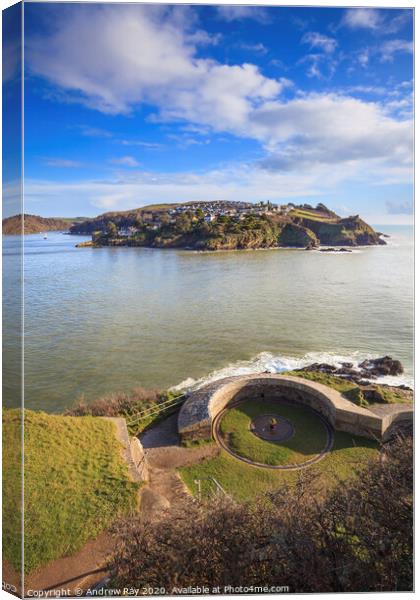 Polruan from St Catherines Castle Canvas Print by Andrew Ray