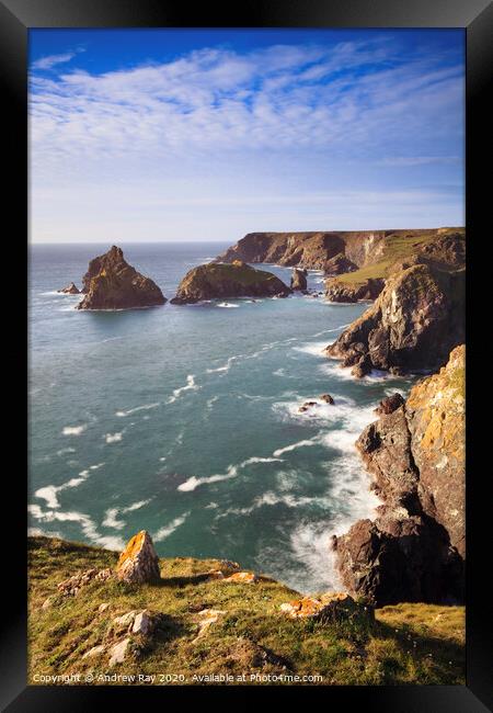 Towards Kynance Cove Framed Print by Andrew Ray