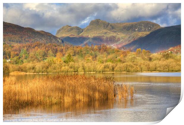 Elterwater Print by Andrew Ray