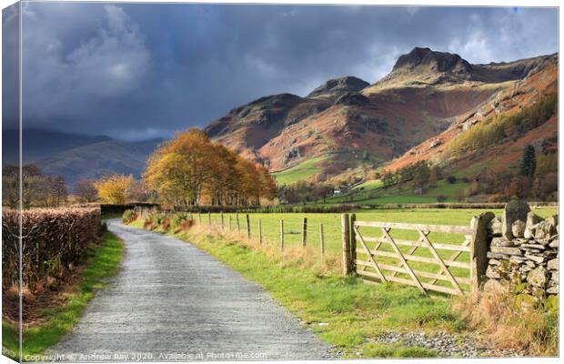 Autumn in Great Langdale Canvas Print by Andrew Ray