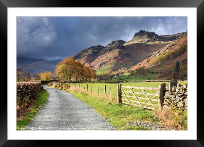 Autumn in Great Langdale Framed Mounted Print by Andrew Ray