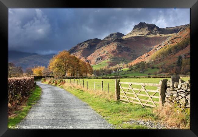 Autumn in Great Langdale Framed Print by Andrew Ray