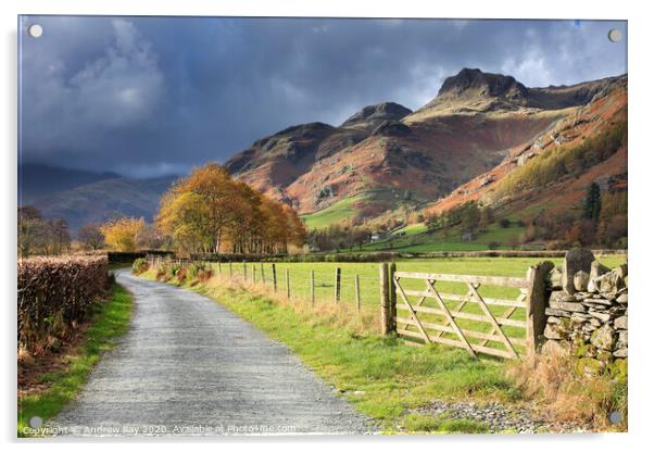 Autumn in Great Langdale Acrylic by Andrew Ray