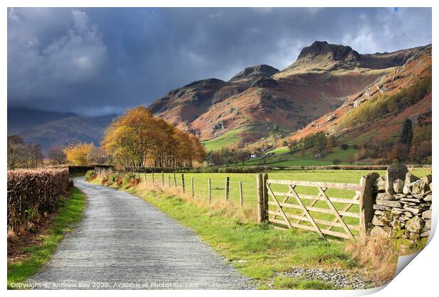 Autumn in Great Langdale Print by Andrew Ray