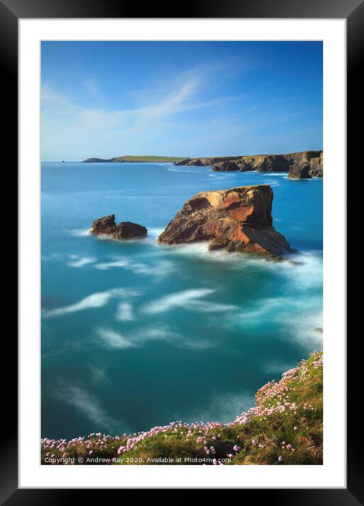 Sea Stack at Porthcothan Framed Mounted Print by Andrew Ray