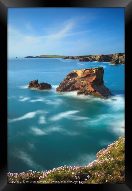 Sea Stack at Porthcothan Framed Print by Andrew Ray