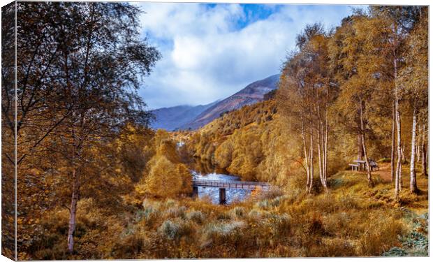 Golden Autumn hues of Glen Affric Canvas Print by John Frid