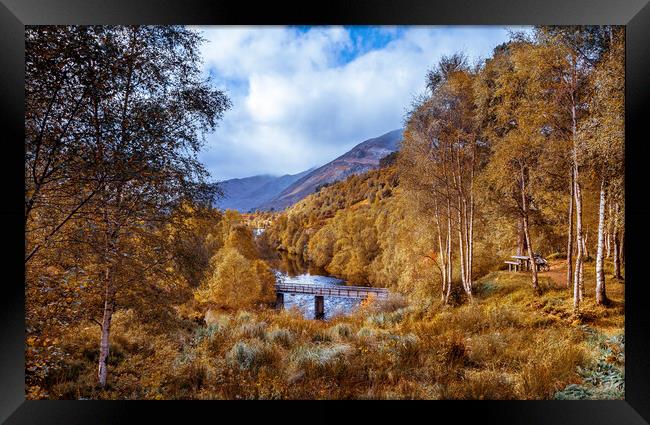 Golden Autumn hues of Glen Affric Framed Print by John Frid