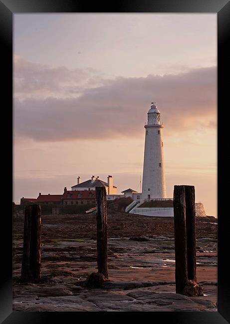 St. Marys Lighthouse After Sunrise Framed Print by David Pringle
