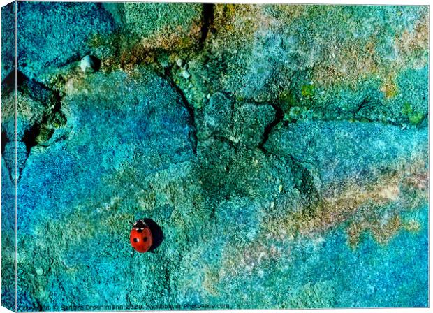 Lady bug Canvas Print by Sandra Broenimann