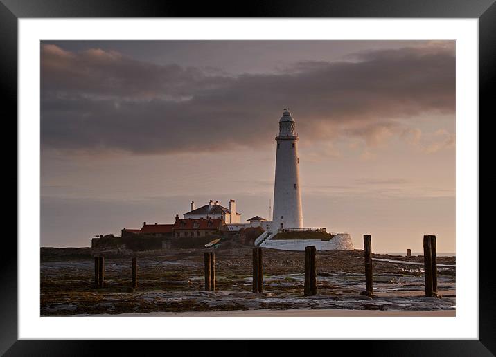 St. Marys Lighthouse After Sunrise Framed Mounted Print by David Pringle