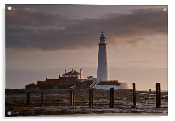 St. Marys Lighthouse After Sunrise Acrylic by David Pringle