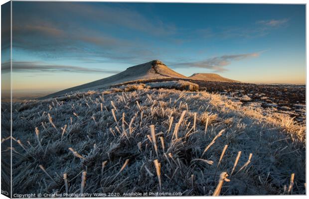 Frosted Grass Canvas Print by Creative Photography Wales