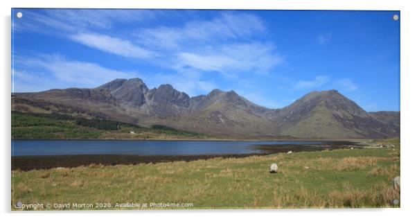 Bla Bhein on the Isle of Skye from Torrin Acrylic by David Morton