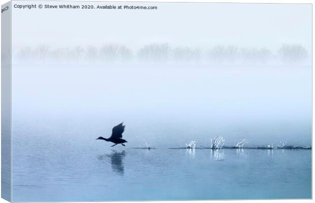 Early flying start. Canvas Print by Steve Whitham