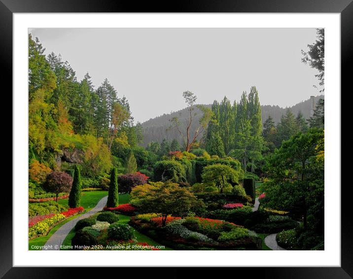Butchart Gardens , Victoria Canada Framed Mounted Print by Elaine Manley