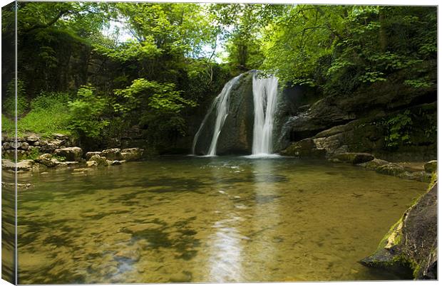 Janets Foss Canvas Print by Darren Smith
