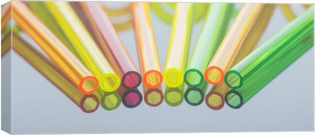 Coloured Straws in a Row Canvas Print by Kelly Bailey