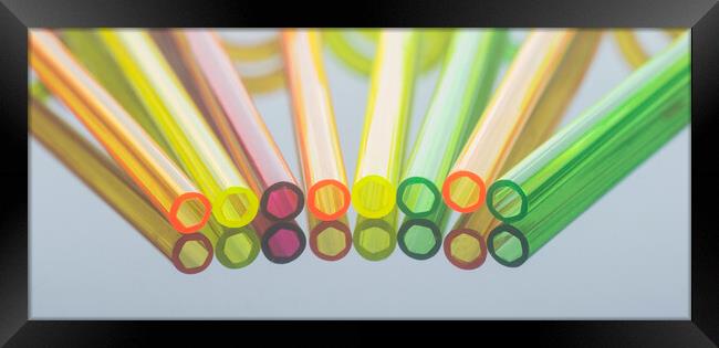 Coloured Straws in a Row Framed Print by Kelly Bailey