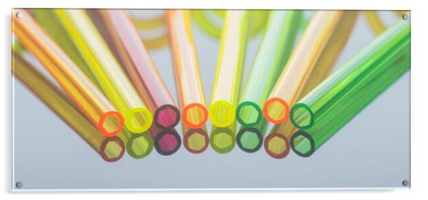 Coloured Straws in a Row Acrylic by Kelly Bailey