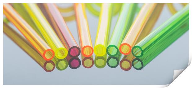 Coloured Straws in a Row Print by Kelly Bailey