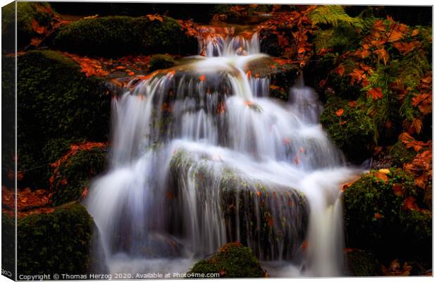 Waterfall in the magic forest  Canvas Print by Thomas Herzog