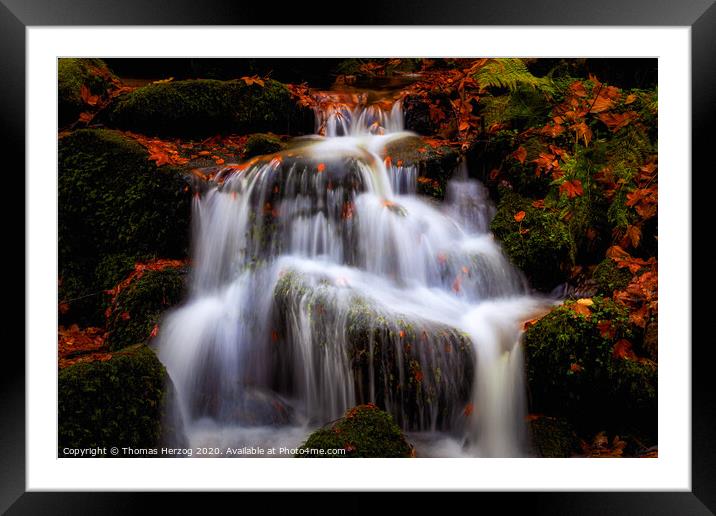 Waterfall in the magic forest  Framed Mounted Print by Thomas Herzog