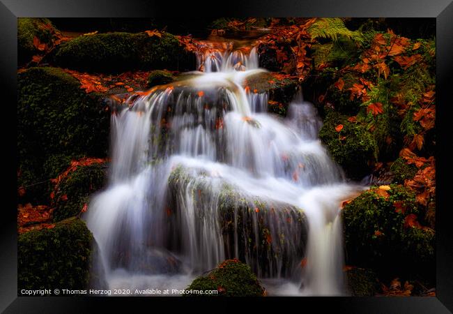 Waterfall in the magic forest  Framed Print by Thomas Herzog