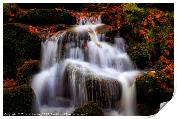 Waterfall in the magic forest  Print by Thomas Herzog
