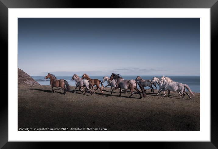 Wild Carneddau ponies Framed Mounted Print by Michael Newton