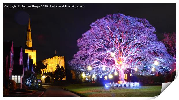 Christmas winter scene Print by Andrew Heaps