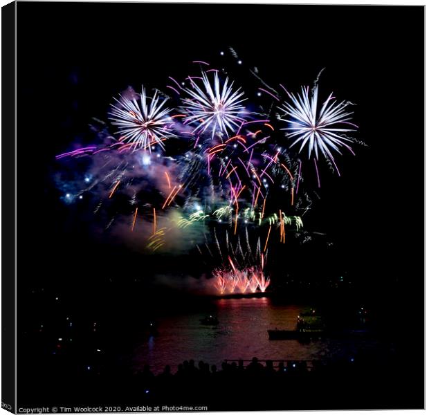 Plymouth National Firework Competition Canvas Print by Tim Woolcock