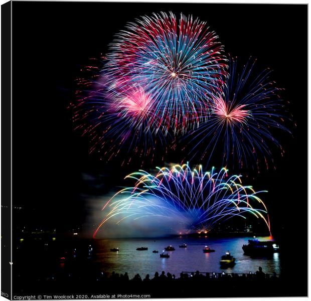 Plymouth National Firework Competition Canvas Print by Tim Woolcock