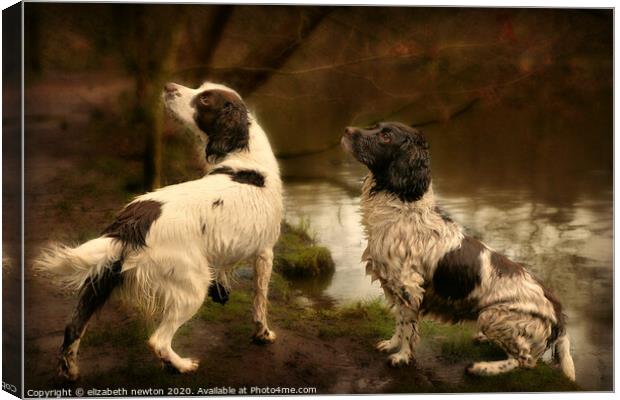 His master's voice.  Canvas Print by Michael Newton