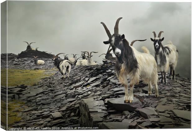 Masters of Dinorwig Canvas Print by Michael Newton