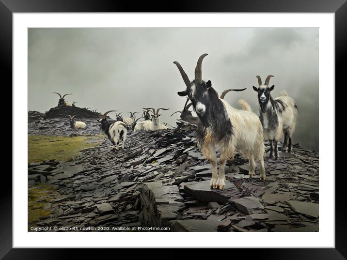 Masters of Dinorwig Framed Mounted Print by Michael Newton
