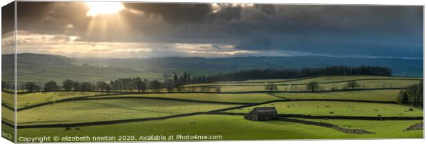 A green and pleasant land.  North Yorkshire Dales Canvas Print by Michael Newton