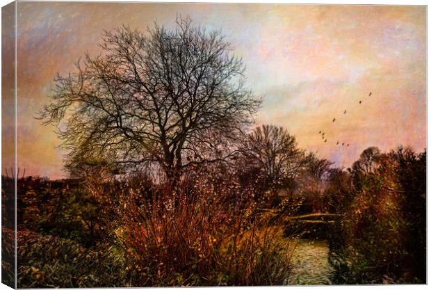 At the end of the day Canvas Print by Eileen Wilkinson ARPS EFIAP
