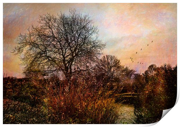 At the end of the day Print by Eileen Wilkinson ARPS EFIAP