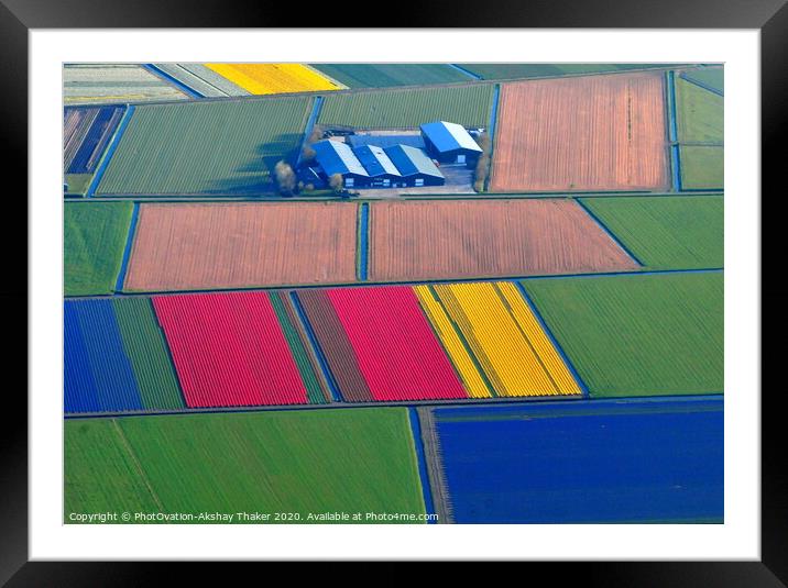 Aerial view of colorful Tulip fields in Holland. Framed Mounted Print by PhotOvation-Akshay Thaker