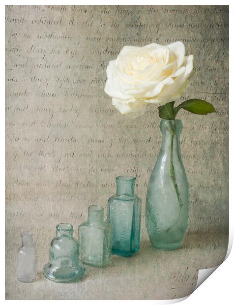 Vintage bottles with white rose Print by Eileen Wilkinson ARPS EFIAP