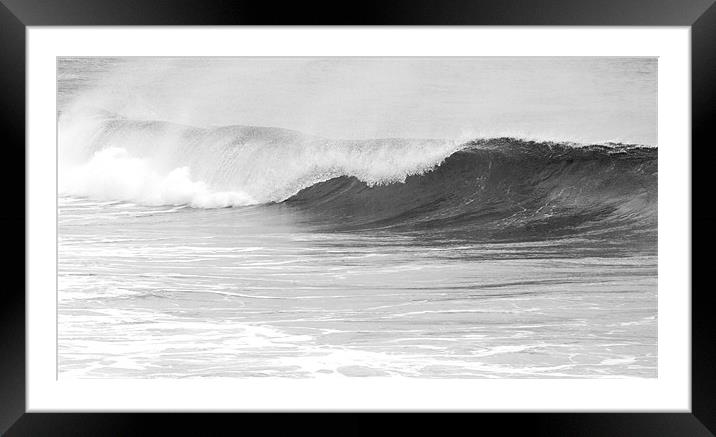 Curling Wave on Cornish beach Framed Mounted Print by Tim O'Brien