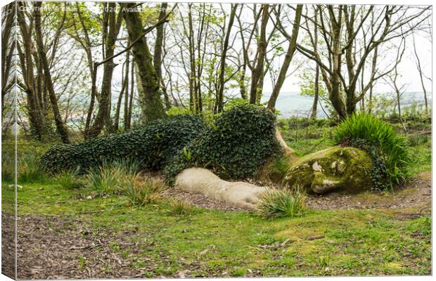 The Mud Maid, Lost Gardens of Heligan, Cornwall  Canvas Print by Brian Pierce