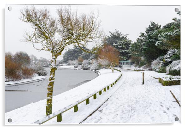 Snow at Mewsbrook Park in Littlehampton Acrylic by Geoff Smith