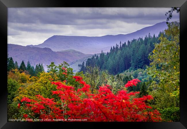 Seeing Red in the beautiful North Wales mountains  Framed Print by David Spence