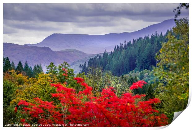 Seeing Red in the beautiful North Wales mountains  Print by David Spence
