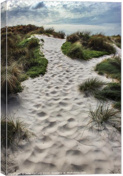 The Sand Garden Canvas Print by Julie Hartwig