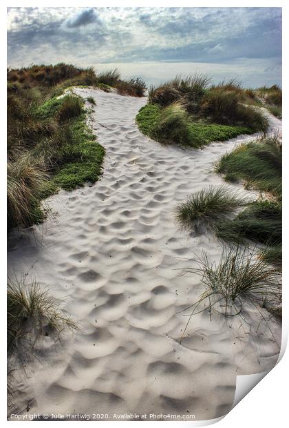 The Sand Garden Print by Julie Hartwig