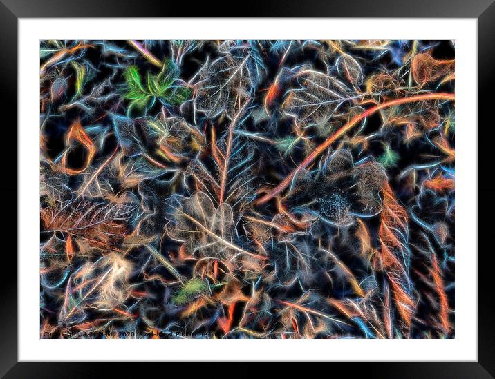 Abstracted Leaves Framed Mounted Print by Iain Mavin